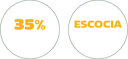 Buchanan's Pineapple